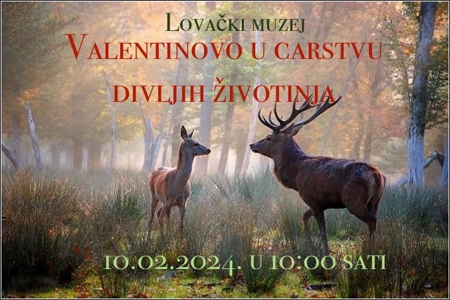 Valentinovo u carstvu  divljih životinja